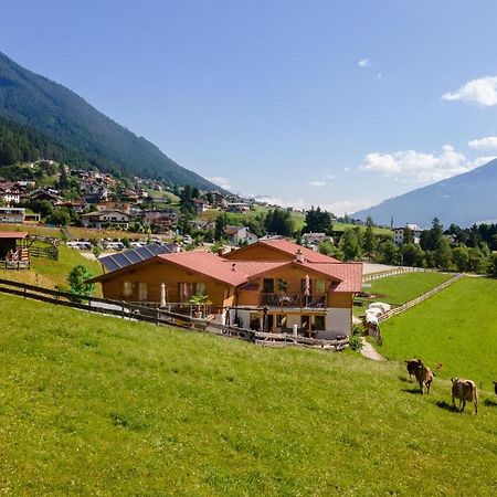 Apartament Wiltigerhof Fulpmes Zewnętrze zdjęcie